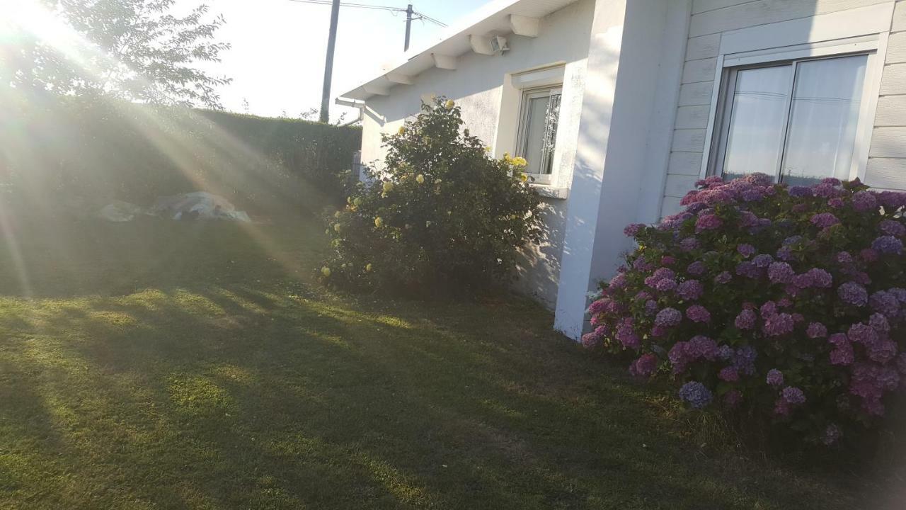 La Maison Des Oiseaux Eu (Seine-Maritime) Kültér fotó